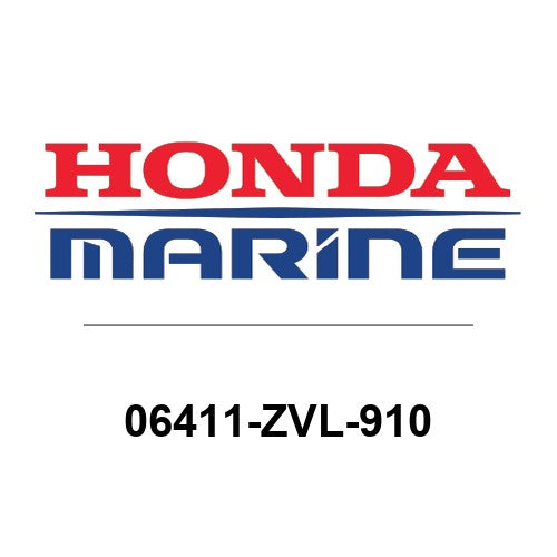06411-ZVL-910