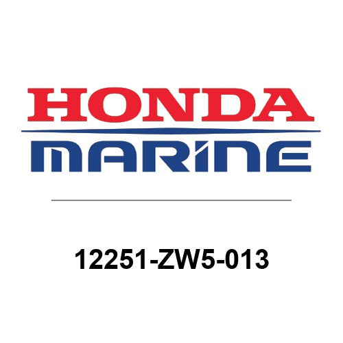 12251-ZW5-013