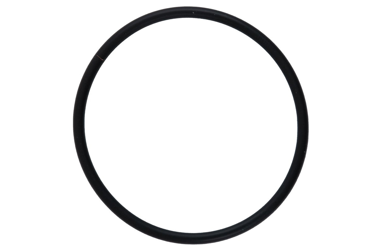 Suzuki - Fuel Filter Seal - 15415-93J10