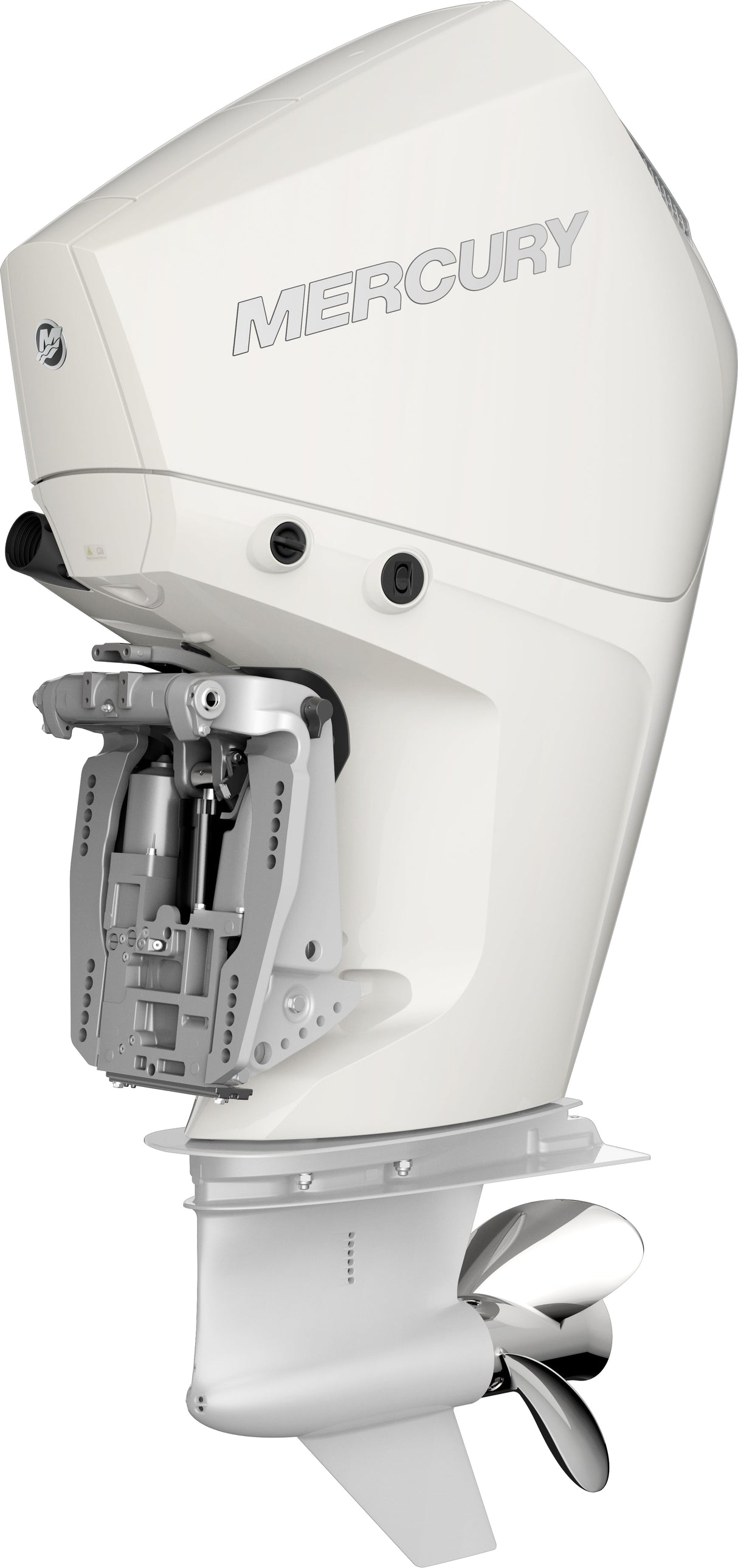 Mercury FourStroke DTS 225HP Outboard Motor