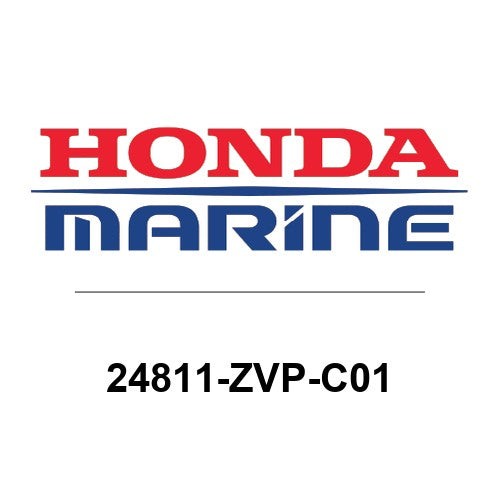 24811-ZVP-C01