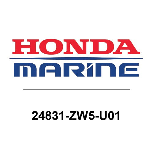 24831-ZW5-U01