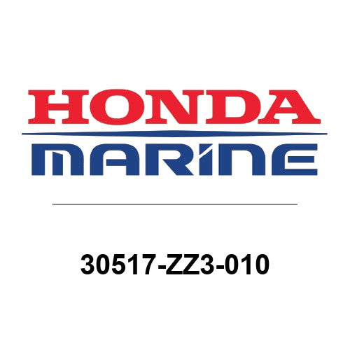 30517-ZZ3-010
