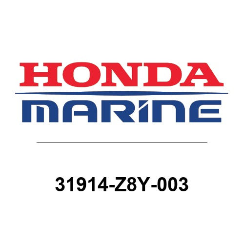 31914-Z8Y-003