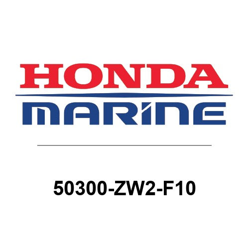 50300-ZW2-F10