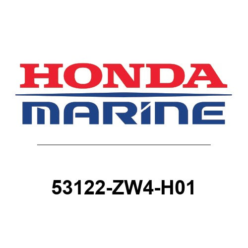 53122-ZW4-H01