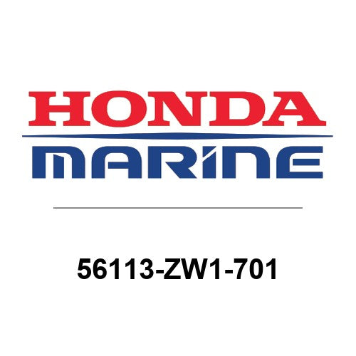 56113-ZW1-701