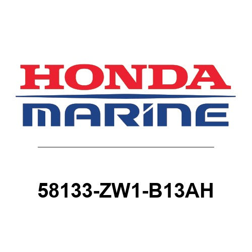 58133-ZW1-B13AH