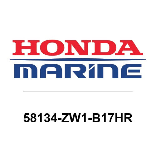 58134-ZW1-B17HR