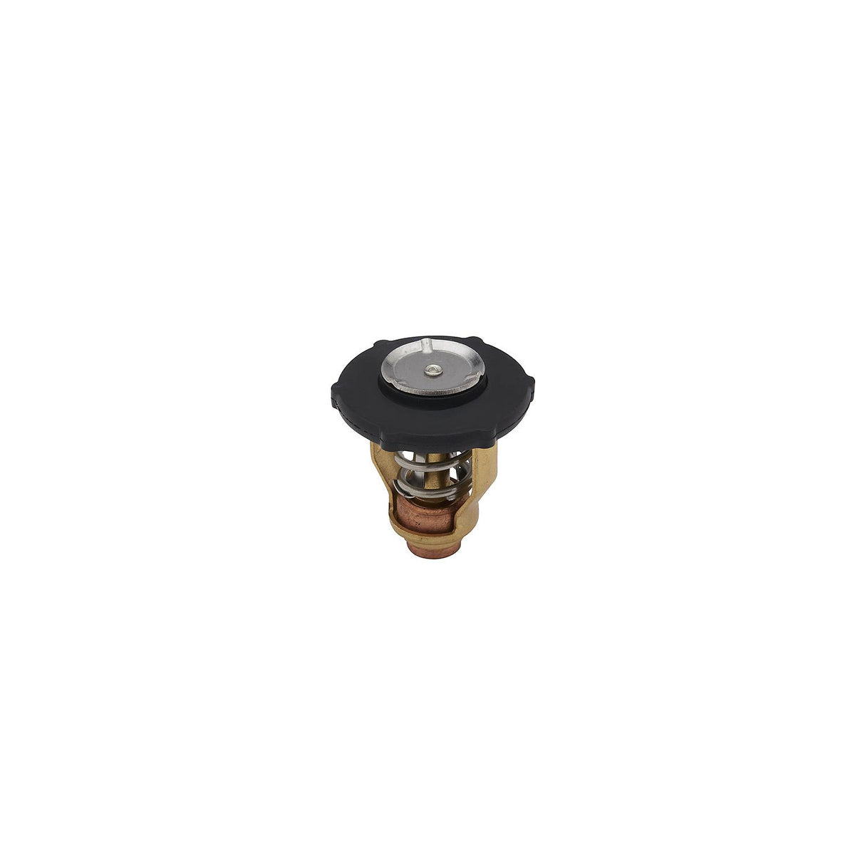 Mercury - Thermostat - 8M6010300