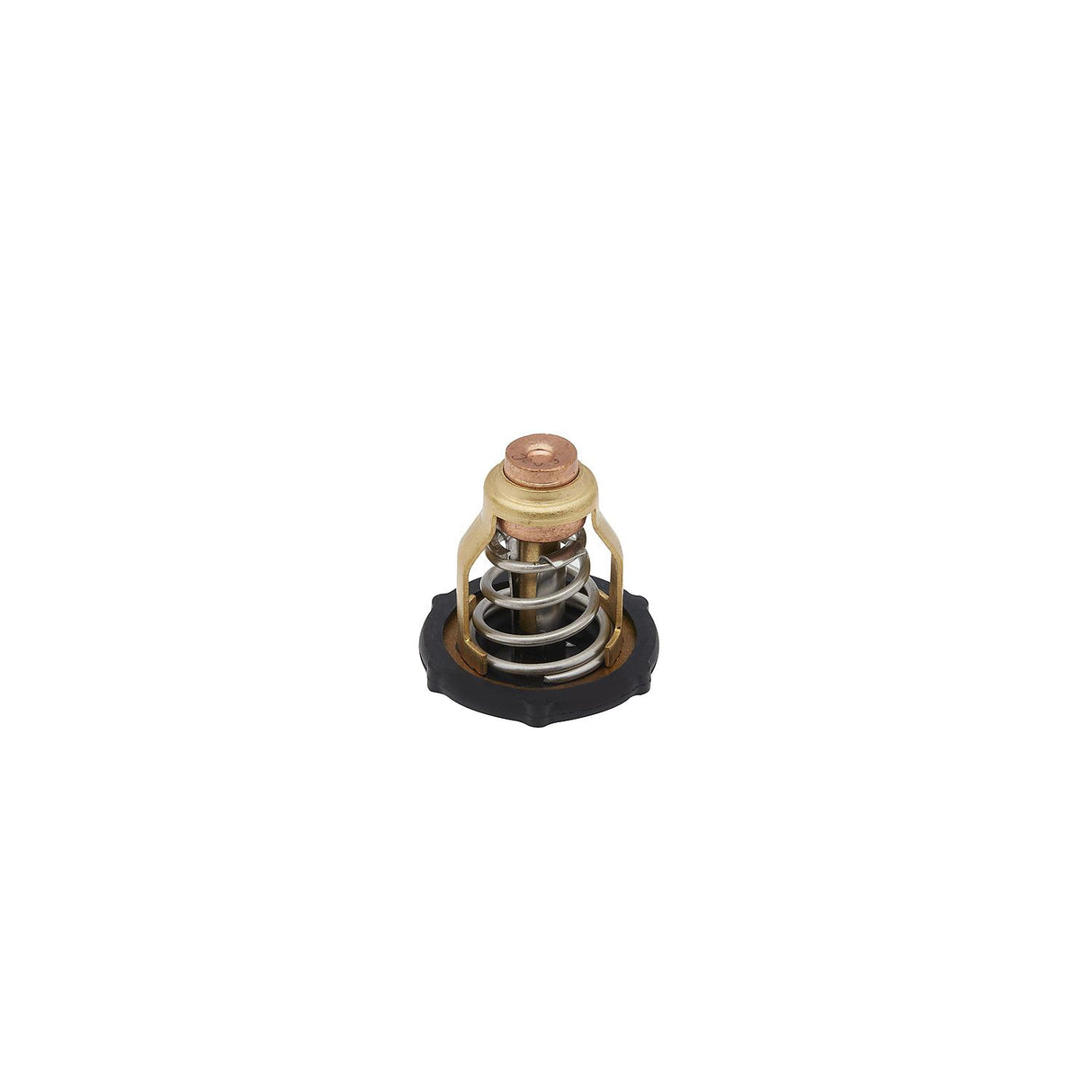 Mercury - Thermostat - 8M6010300