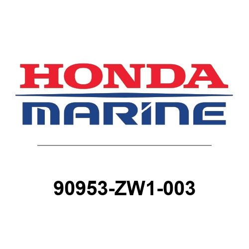 90953-ZW1-003