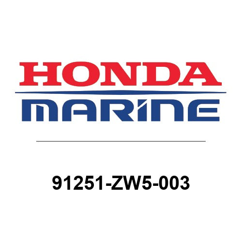 91251-ZW5-003