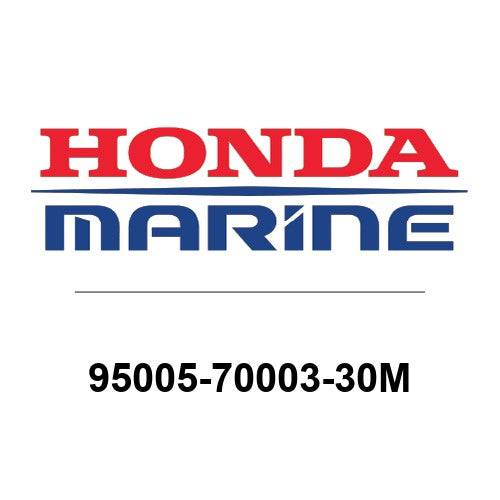 95005-70003-30M