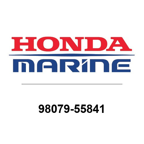 SPARK PLUG (BP5ES) - 98079-55841