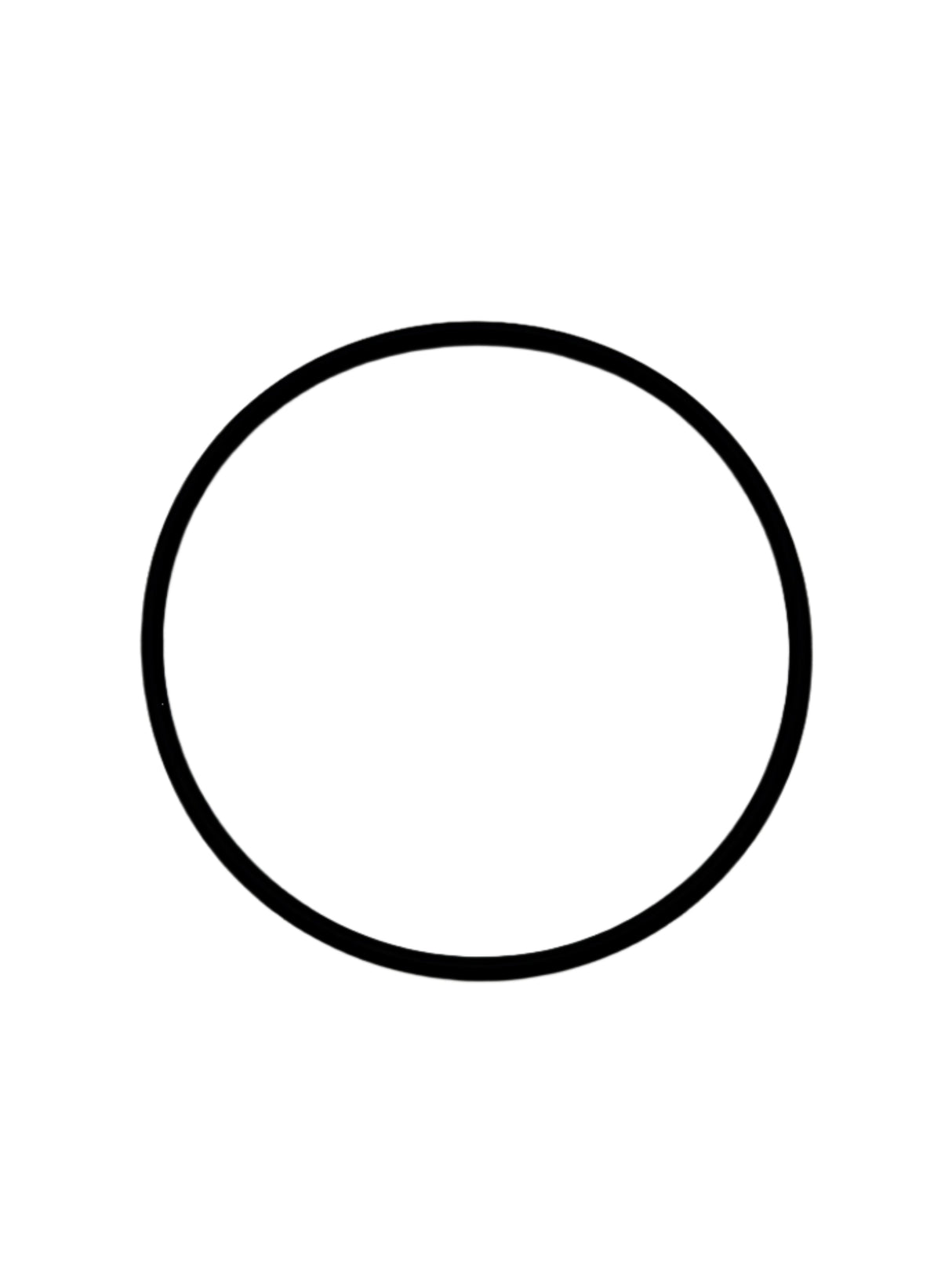 Mercury O-Ring (2.612 x .103) - 25-805732