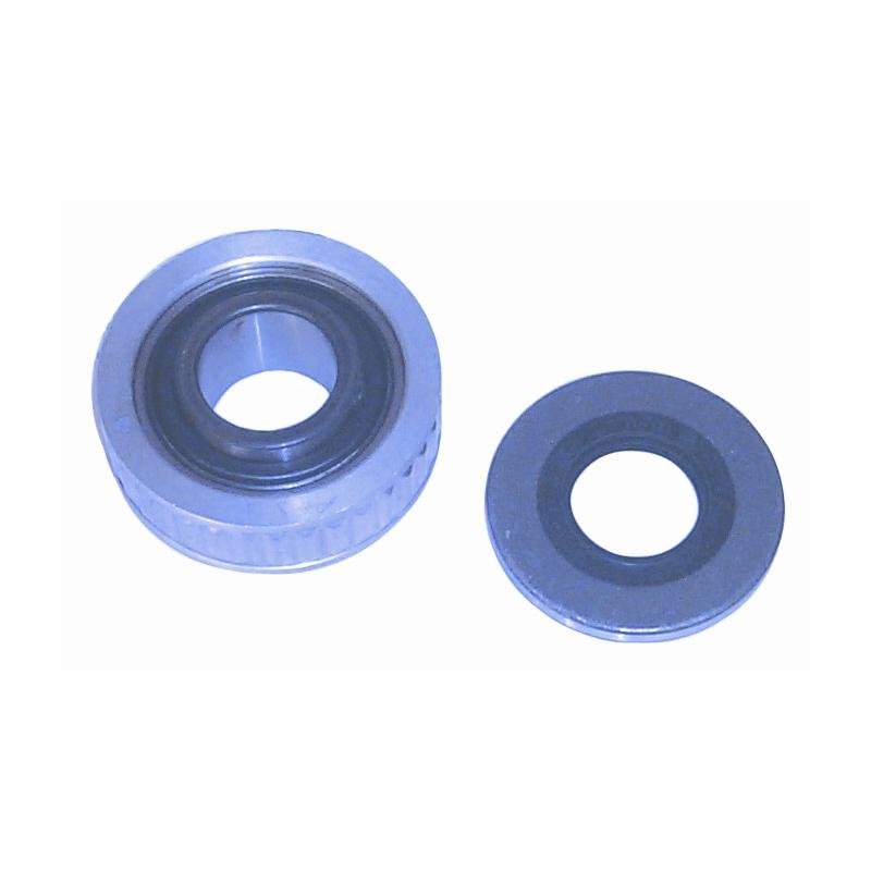 Sierra - SEAL & BEARING KIT - 2100K