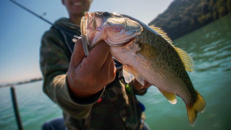 The Rise of the Next Generation of Bass Anglers: The Youth Angler Movement