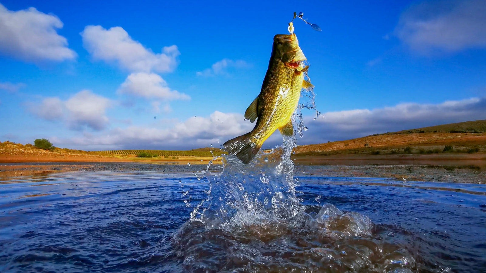 Bass Fishing Tips from Bassmaster Elite Series Angler Garrett Paquette