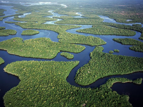 CCA Florida Talks Habitat and Environmental Restoration