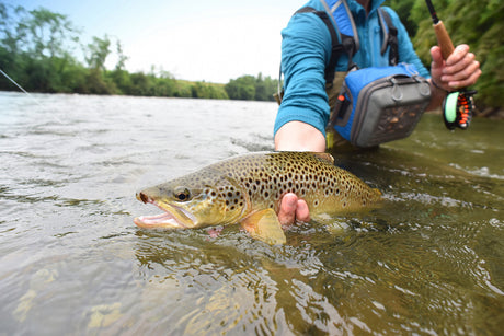 Top Fishing Tips for Trout Anglers of All Experience Levels
