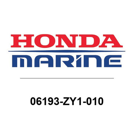 06193-ZY1-010