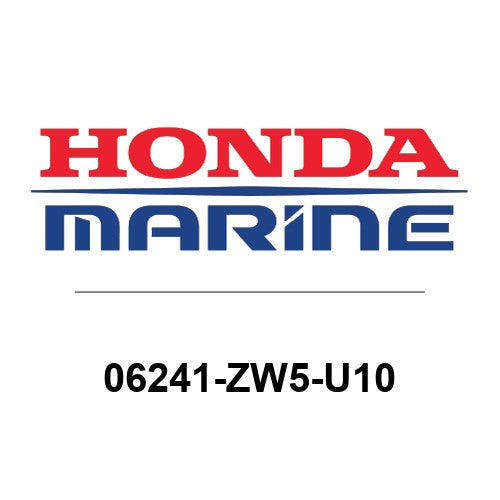 06241-ZW5-U10