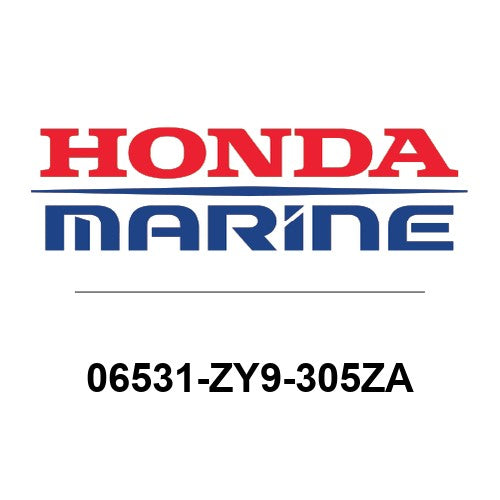06531-ZY9-305ZA
