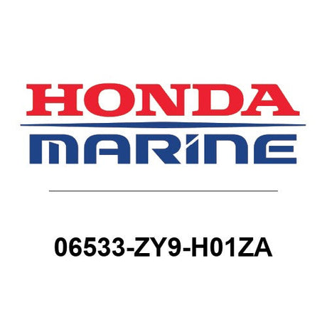 STRG HNDL KI*NHB14M* - 06533-ZY9-H01ZA