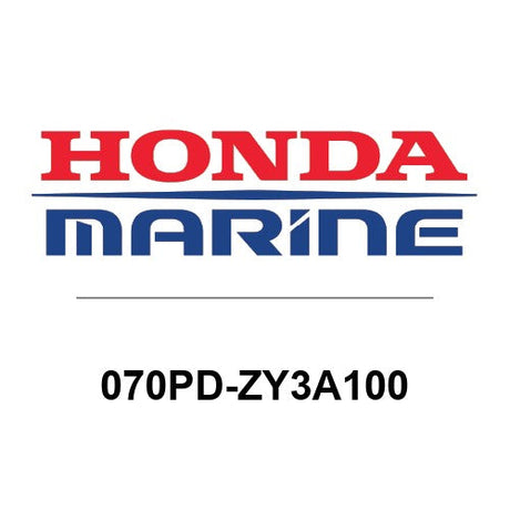 070PD-ZY3A100