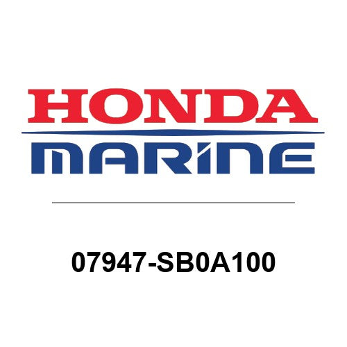 DRIVER, OIL SEAL - 07947-SB0A100