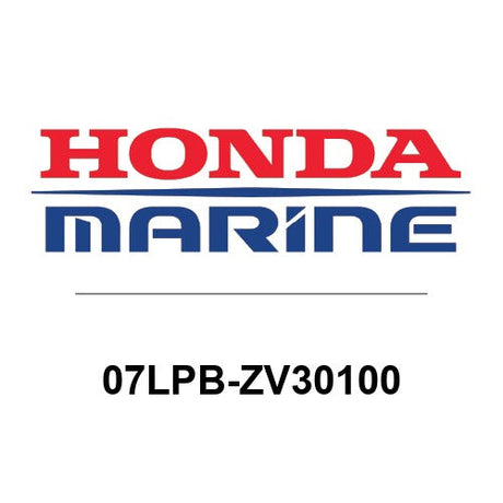 07LPB-ZV30100