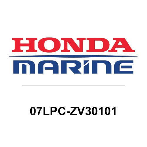 PULLER,BRG.RACE - 07LPC-ZV30101