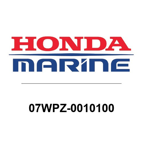 07WPZ-0010100