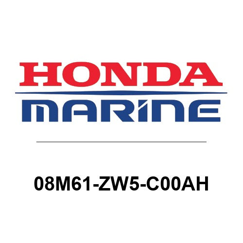 08M61-ZW5-C00AH