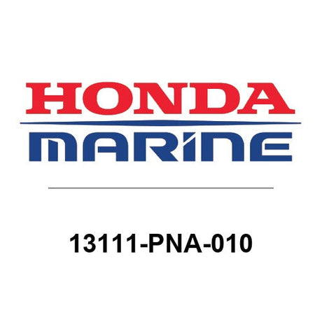 13111-PNA-010