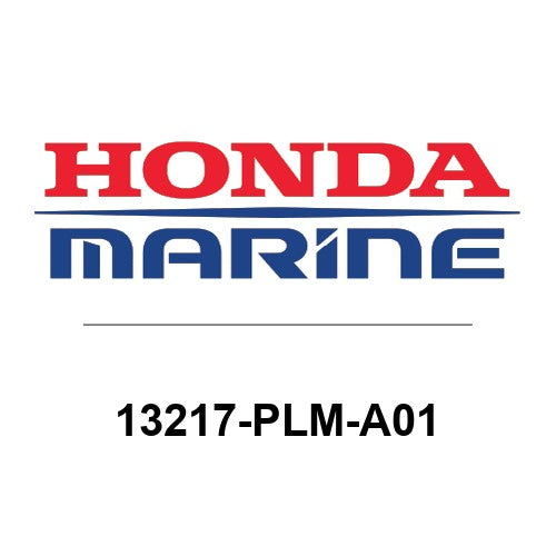 13217-PLM-A01