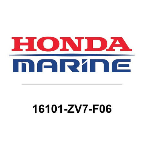 16101-ZV7-F06