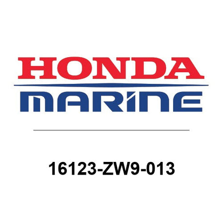 16123-ZW9-013