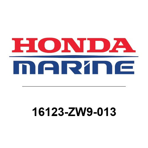16123-ZW9-013