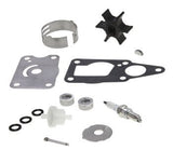 Suzuki DF4 | DF6 Service Kit - 10W40 Ecstar Oil - 17400-91860 - 2002-2010