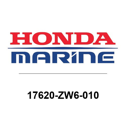 17620-ZW6-010