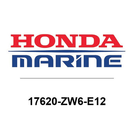 17620-ZW6-E12