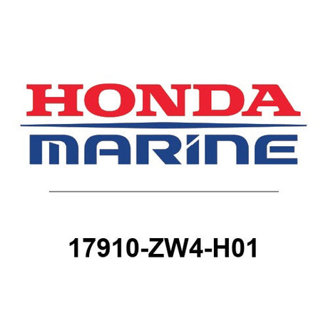 17910-ZW4-H01