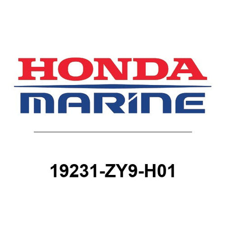 19231-ZY9-H01