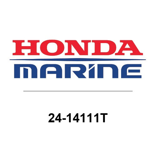 24-14111T