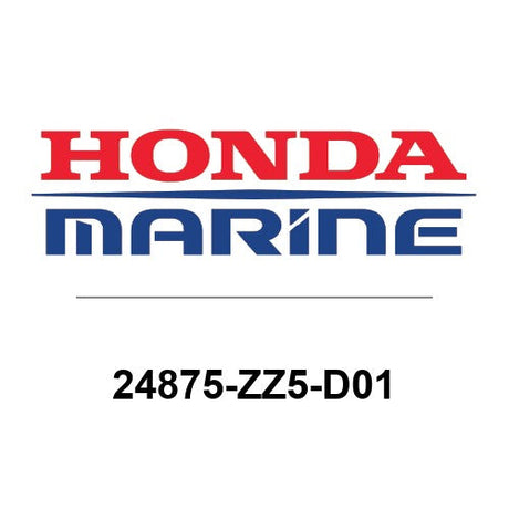 24875-ZZ5-D01