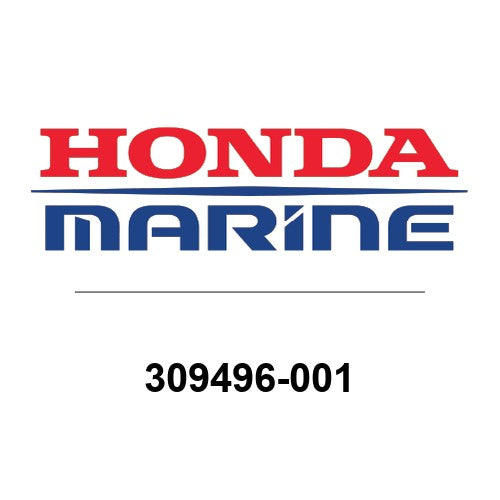 309496-001
