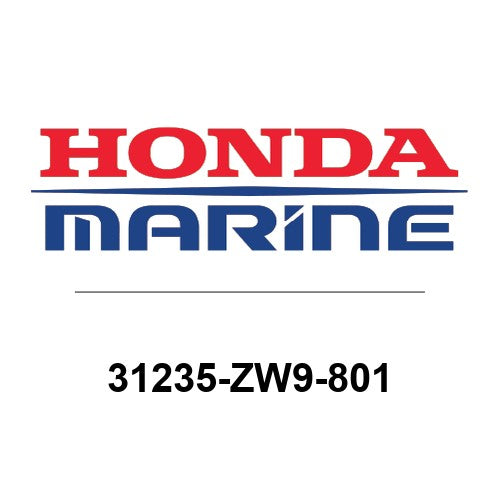 31235-ZW9-801