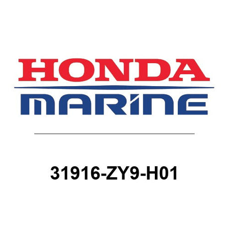 31916-ZY9-H01